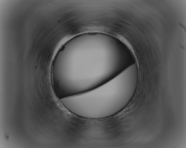 X0000093361104200710111304