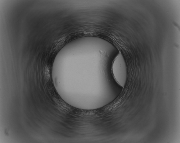 X0000093361106200710111303