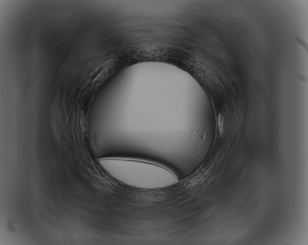 X0000093361107200710111303