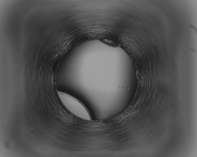 X0000093361108200710111303