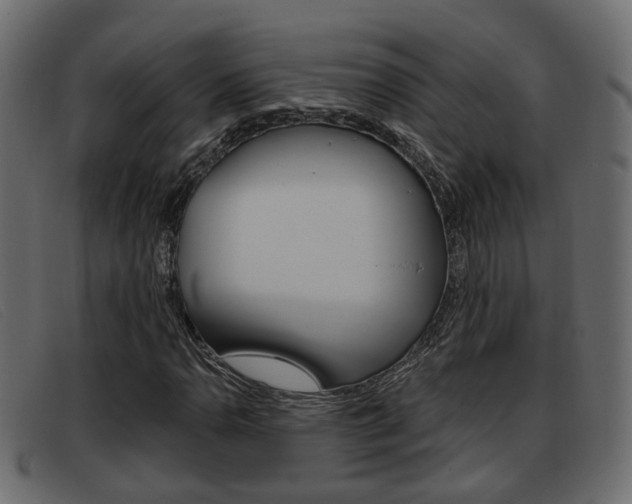 X0000093361110200710111303