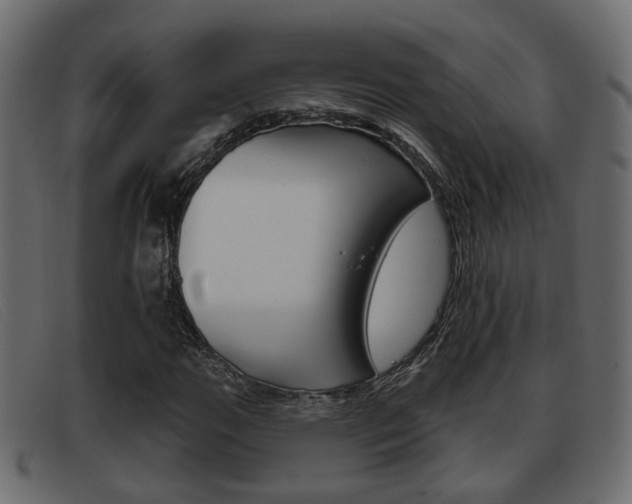 X0000093361111200710111303