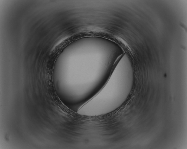 X0000093361112200710111303