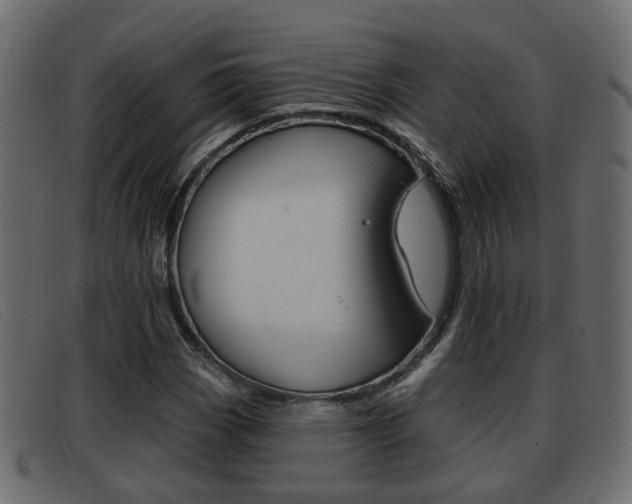 X0000093361113200710111303