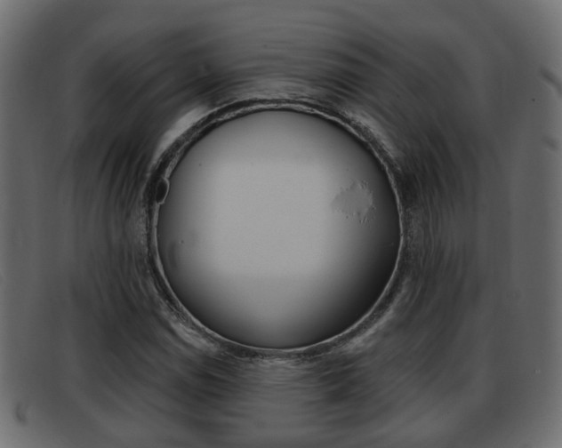 X0000093361114200710111303