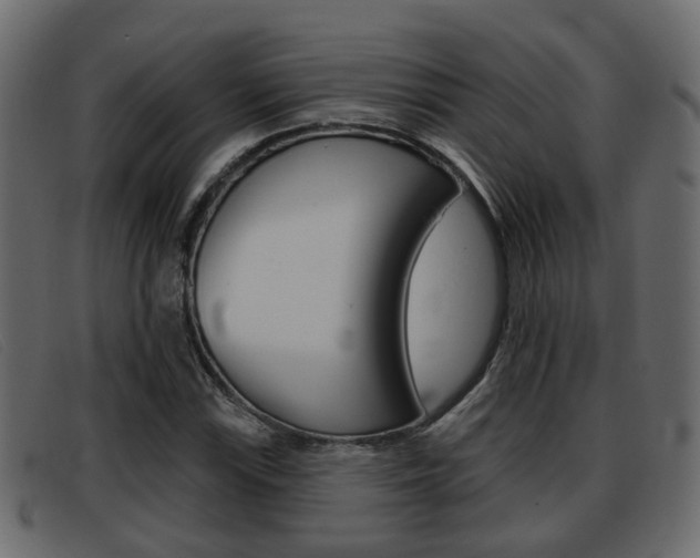 X0000093361115200710111303