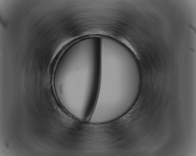 X0000093361116200710111303