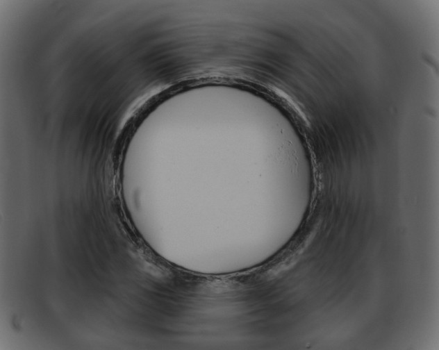 X0000093361117200710111303