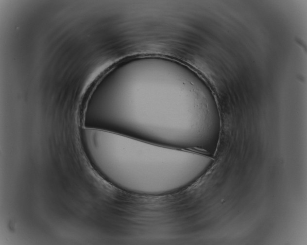 X0000093361120200710111303