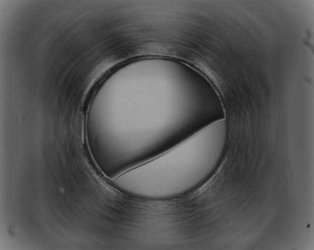X0000093361123200710111303