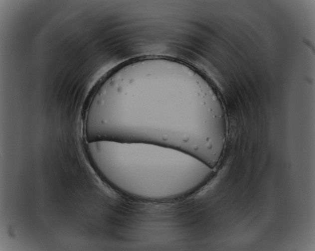 X0000093361125200710111303