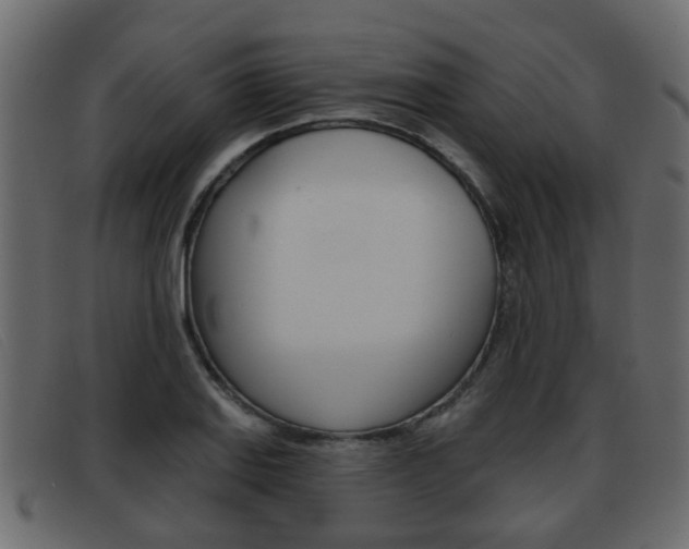 X0000093361127200710111303