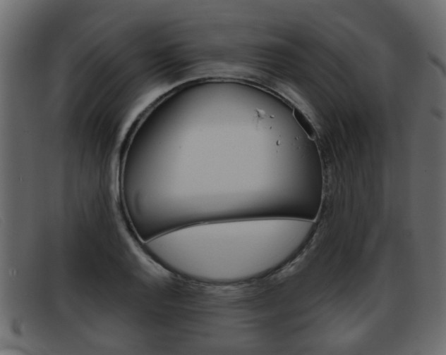 X0000093361128200710111303