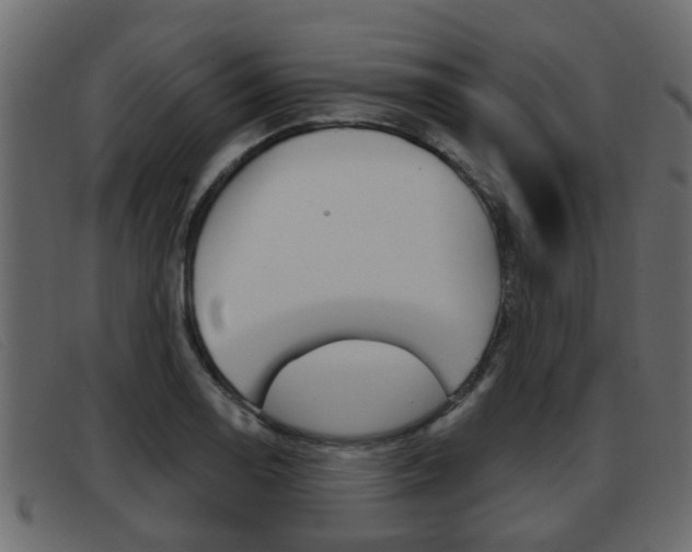 X0000093361130200710111303
