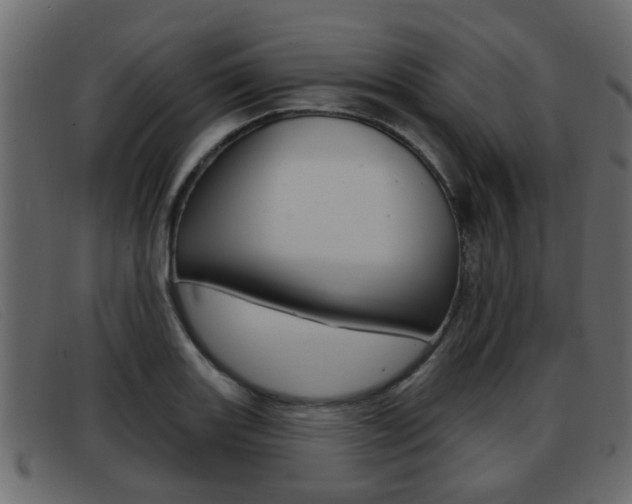 X0000093361131200710111304
