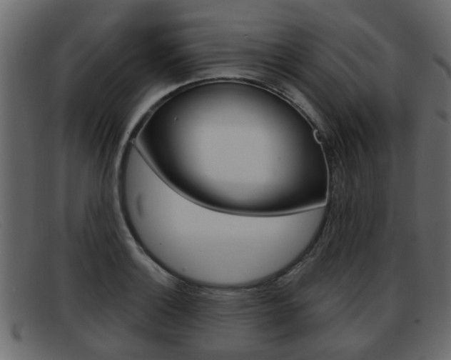 X0000093361132200710111304