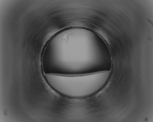 X0000093361133200710111304