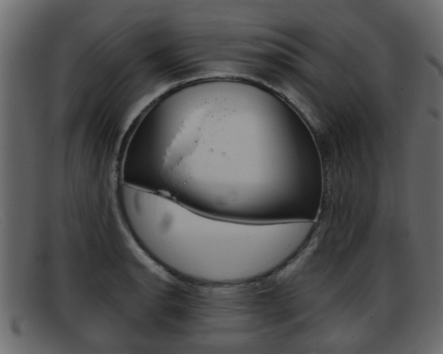 X0000093361134200710111304