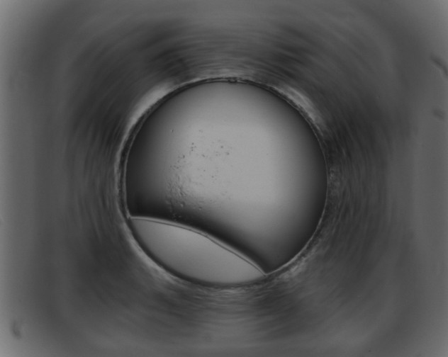 X0000093361135200710111304