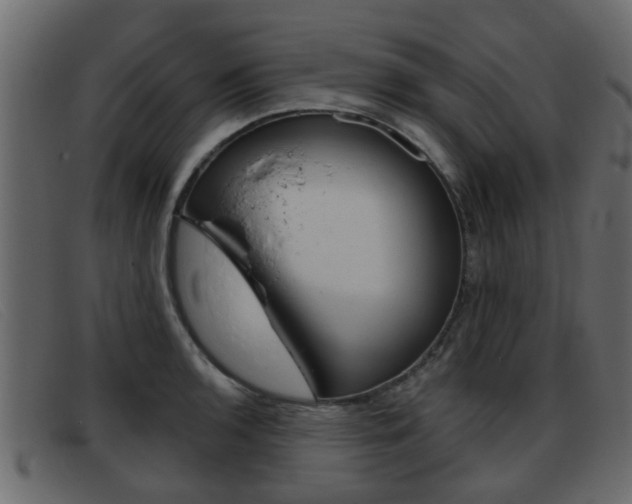 X0000093361136200710111304