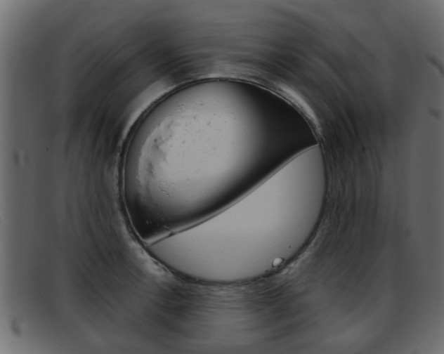 X0000093361138200710111304