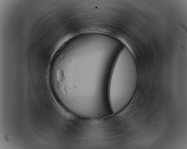 X0000093361139200710111304