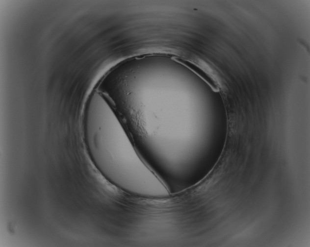 X0000093361140200710111304