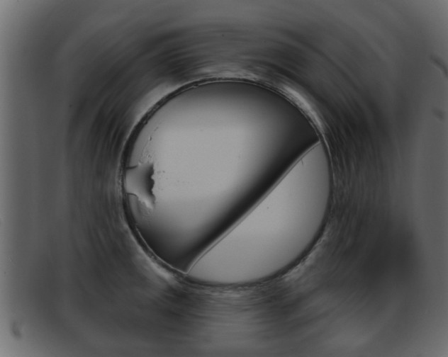 X0000093361141200710111304