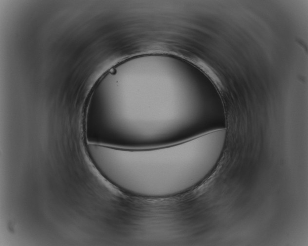 X0000093361142200710111304
