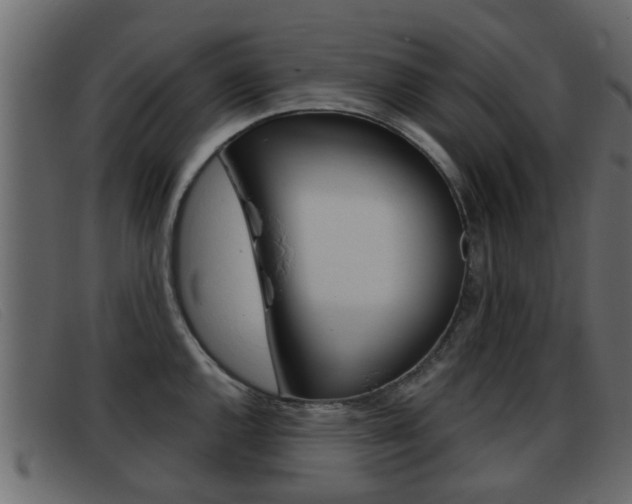 X0000093361144200710111304