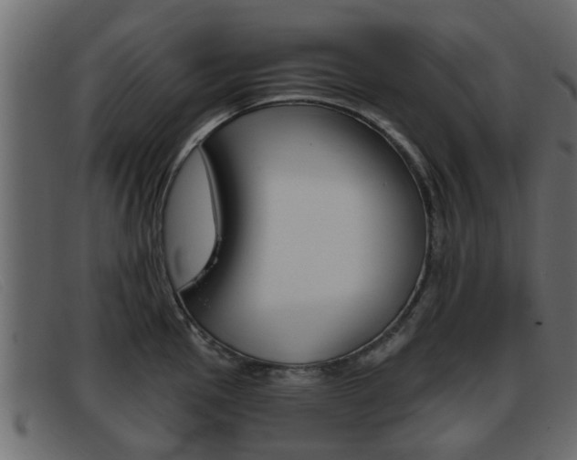X0000093361145200710111304