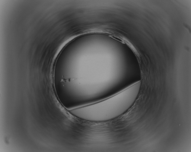 X0000093361148200710111304