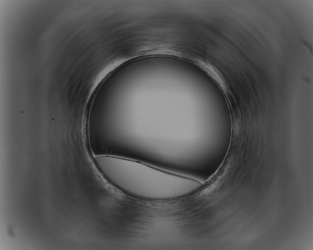 X0000093361149200710111304