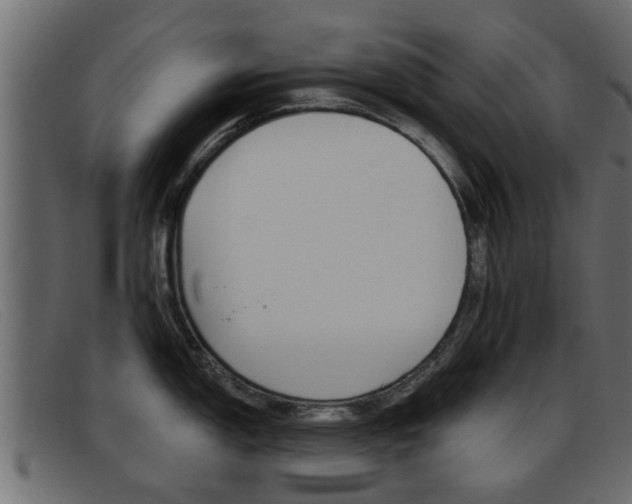 X0000093361150200710111304