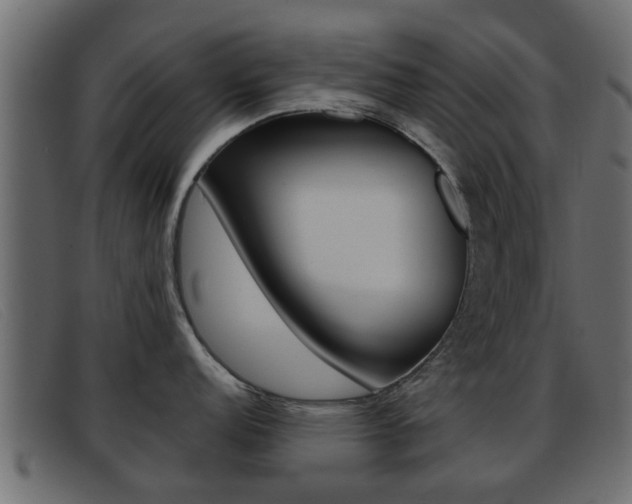 X0000093361152200710111304
