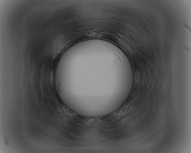 X0000093361154200710111303