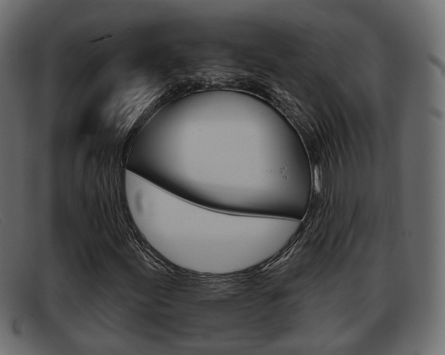 X0000093361155200710111303