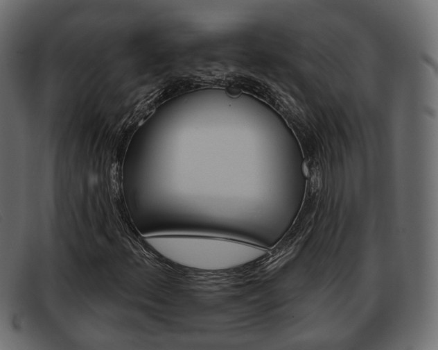 X0000093361156200710111303