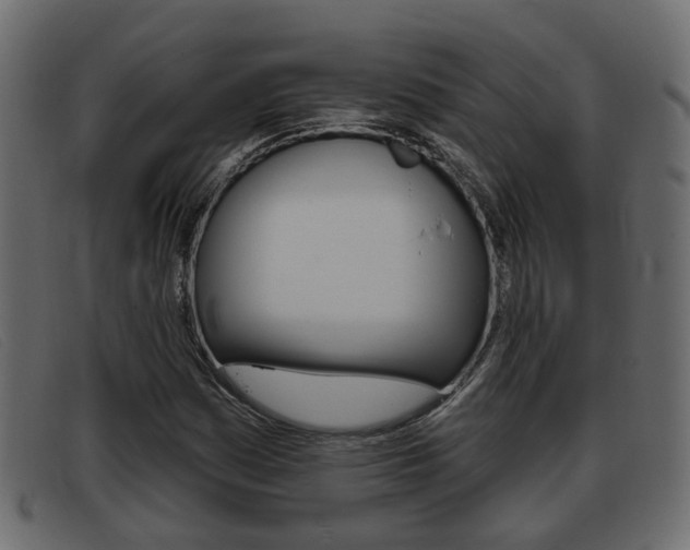 X0000093361161200710111303