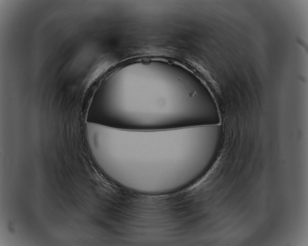 X0000093361163200710111303