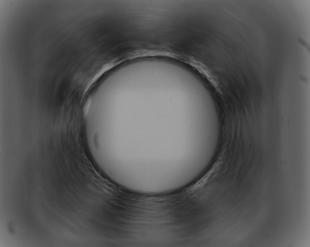 X0000093361165200710111303