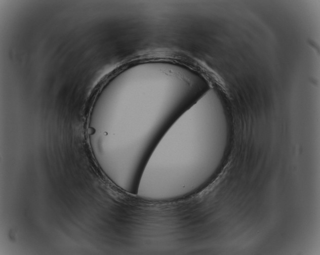 X0000093361166200710111303