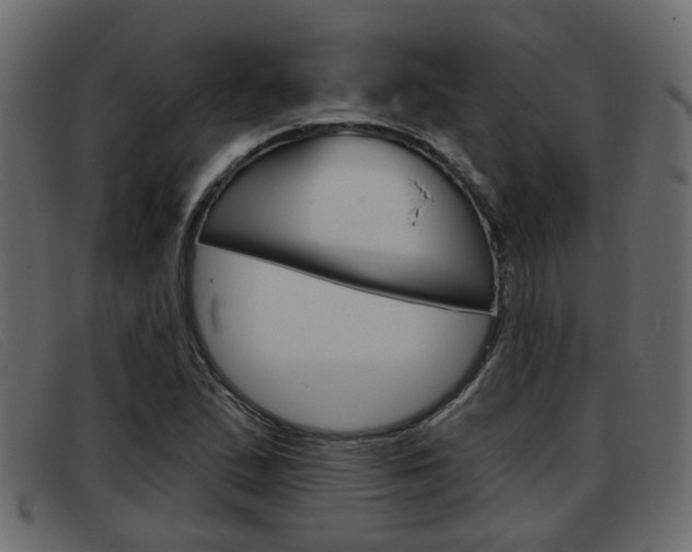 X0000093361167200710111303