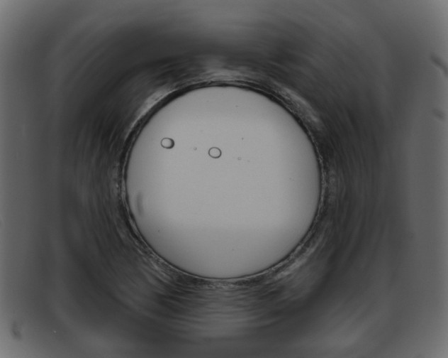 X0000093361170200710111303