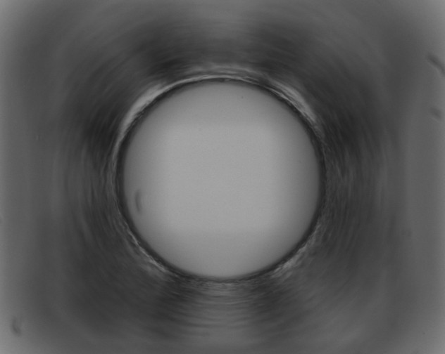X0000093361172200710111303