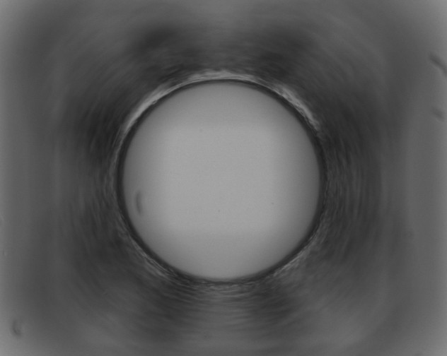 X0000093361173200710111303