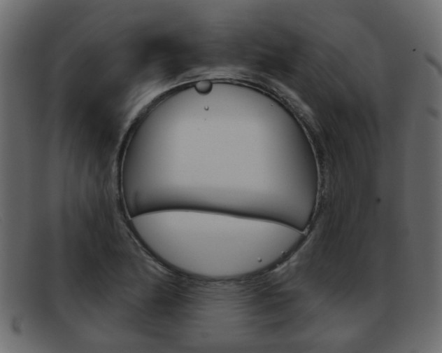 X0000093361174200710111303