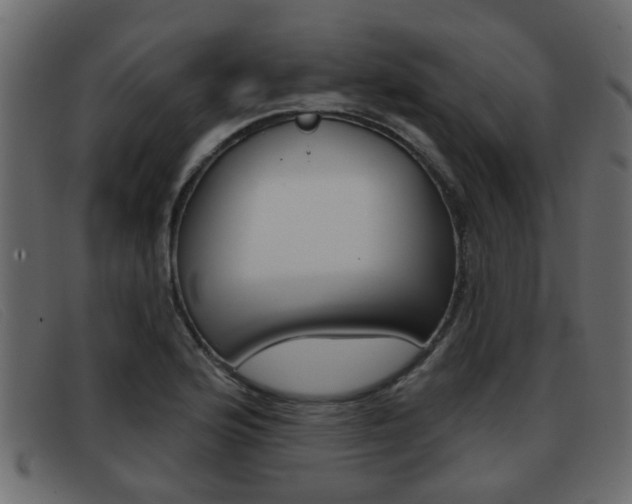 X0000093361176200710111303
