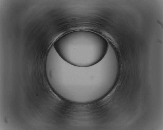X0000093361177200710111303