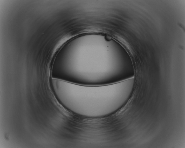 X0000093361179200710111303